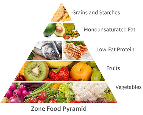 Zone food pyramid