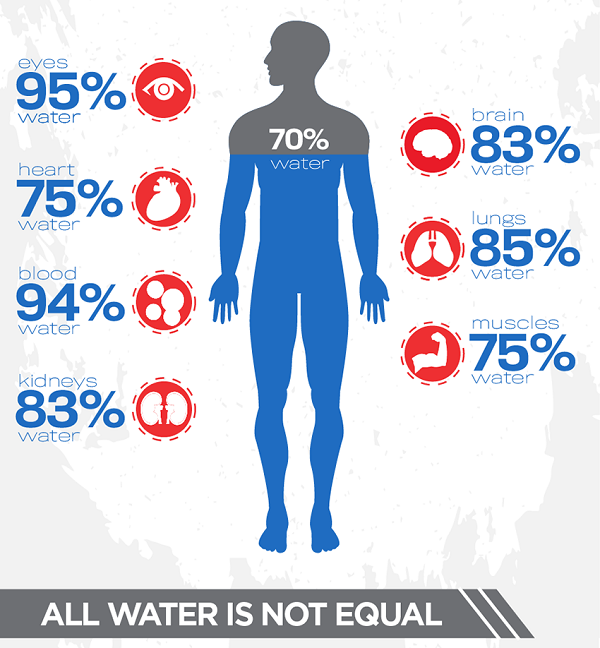 Body water composition